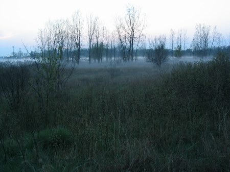 Miracle Twin Drive-In Theatre - Mist Rolling In Photo From Robert (newer photo)